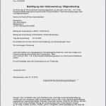 Mitgliederliste Verein Vorlage Erstaunlich Vereinsbuchhaltung Buchhaltung software Für Den Verein