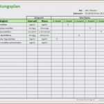 Mitgliederverwaltung Excel Vorlage Kostenlos Genial Einnahmen Ausgaben Excel Vorlage Kostenlos Elegant