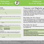 Mitgliedsantrag Verein Vorlage Erstaunlich Ansicht Zuwendungsbesttigung Quittung Vorlage Schweiz