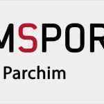 Mitgliedsausweis Vorlage Angenehm Sv Dalberg E V Tanzsport Wir Haben Es Drauf