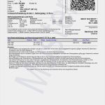 Mitgliedsausweis Vorlage Inspiration Line Ticket –