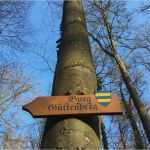 Mittelalterliche Speisekarte Vorlage Elegant Waldführungen Durch Den Schlosswald