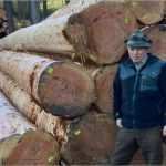 Mittelalterliche Speisekarte Vorlage Schönste Waldführungen Durch Den Schlosswald