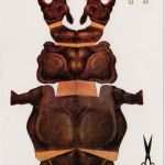 Möbel Vorlagen Zum Ausschneiden 1 50 Hübsch Klappkarte Kuvert Mit Tiermotiv Nashorn Rhinoceros Zum