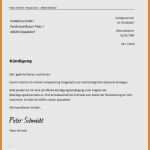 Mobilcom Debitel Kündigung Rufnummernmitnahme Vorlage Pdf Erstaunlich Großzügig Fax Vorlage Fotos Vorlagen Ideen fortsetzen