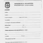 Mobilcom Vertrag Kündigen Vorlage Schön Kündigung Fußballverein Vorlage