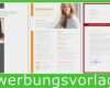 Model Bewerbung Vorlage Süß Lebenslauf Bewerbung Zum sofort In Word & Open Fice