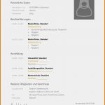 Model Bewerbung Vorlage Wunderbar 12 Lebenslauf Bewerbung Vorlage