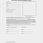 Model Release Dsgvo Vorlage Erstaunlich Model Release form Template Beepmunk