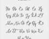 Moderne Kalligraphie Vorlagen Inspiration Mandy Alphabet Modern Calligraphy