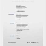 Moderne Newsletter Vorlagen Beste Lebenslauf Vorlage 9 Moderne Bewerbungsvorlage Word