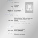 Moderne Visitenkarten Vorlage Erstaunlich Lebenslauf Muster &amp; Vorlagen Für Bewerbung 2019