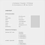 Moderner Lebenslauf Vorlage Genial 53 Besten Lebenslauf Muster & Vorlagen Bilder Auf
