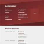 Moderner Lebenslauf Vorlage Inspiration 52 Best Images About Lebenslauf Muster & Vorlagen On Pinterest