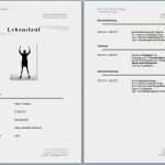 Moderner Lebenslauf Vorlage Kostenlos Luxus Moderner Lebenslauf Vorlage Kostenlos Kostenlose