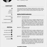 Moderner Lebenslauf Vorlage Word Fabelhaft Bewerbungsmuster Schlichtes Design