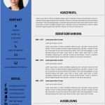 Moderner Lebenslauf Vorlage Word Inspiration Bewerbungsmuster Kostenloser Download