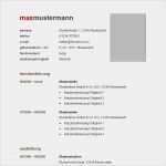 Moderner Lebenslauf Vorlage Word Neu 52 Best Images About Lebenslauf Muster &amp; Vorlagen On