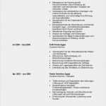 Monatliches Reporting Vorlage Süß Lebenslauf Fady Ibrahim