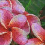 Mosaikbilder Vorlagen Bewundernswert Pixel Mosaikbilder Mosaik Bilder Pixeln Mit Pixelhobby