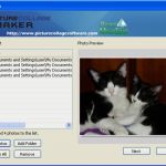 Movie Maker Vorlagen Schönste Picture Collage Maker Download