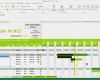 Ms Project Vorlagen Download Elegant Excel Marketingplan Vorlage Muster
