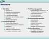 Multiprojektmanagement Excel Vorlage Angenehm Projektmanagement Saas Projekte software as Service