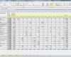 Multiprojektmanagement Excel Vorlage Einzigartig Excel