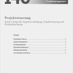 Multiprojektmanagement Excel Vorlage Fabelhaft Multiprojektmanagement Arbeitshilfen Zum Download
