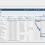 Multiprojektmanagement Excel Vorlage Großartig Gemütlich Projektportfolio Vorlage Zeitgenössisch