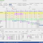 Multiprojektmanagement Excel Vorlage Großartig software for Multi Project Management