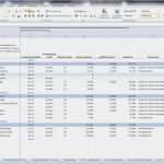 Multiprojektmanagement Excel Vorlage Neu Excel