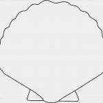 Muschel Einladungskarte Vorlage Luxus Skizze Muschel Ausmalbild & Malvorlage Tiere