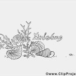 Muschel Einladungskarte Vorlage Schön Muscheln Ausmalbild Zum Ausdrucken Und Ausmalen