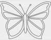 Muse Vorlagen Gratis Erstaunlich 90 3d butterfly Outline Printable butterfly Template
