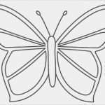 Muse Vorlagen Gratis Erstaunlich 90 3d butterfly Outline Printable butterfly Template