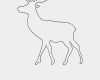Muse Vorlagen Kostenlos Erstaunlich Vorlage Elch 584 Malvorlage Vorlage Ausmalbilder Kostenlos