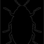 Muse Vorlagen Neu Pin by Muse Printables On Printable Patterns at