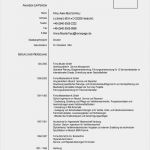 Muster Lebenslauf Vorlage Elegant Standard Lebenslauf Lebenslauf Beispiel