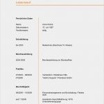 Muster Lebenslauf Vorlage Neu 21 Lebenslauf Vordruck Designvorlagen