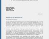 Muster Vorlage Bewerbung Erstaunlich Muster 15 Bewerbung