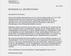 Muster Vorlage Bewerbung Neu Muster 33 Bewerbung