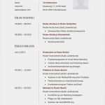 Muster Vorlage Lebenslauf Best Of Muster Lebenslauf Word Muster Lebenslauf Bewerbung 2015