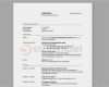 Muster Vorlage Lebenslauf Word Beste Lebenslauf Vorlage Download
