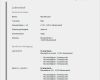 Muster Vorlage Lebenslauf Word Cool Bewerbung Beispiel Vorlage Bewerbung
