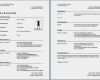 Muster Vorlage Lebenslauf Word Großartig Lebenslauf Vorlagen Word Download