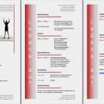 Muster Vorlage Lebenslauf Word Luxus Gratis Lebenslauf Vorlage Muster Und Beispiel Kostenlos