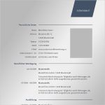 Muster Vorlage Lebenslauf Word Neu Lebenslauf Modern Bewerbung