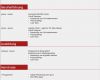 Muster Vorlage Lebenslauf Word Wunderbar Lebenslauf Muster 3 Rot Kostenlos En