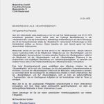 Musterbewerbung Vorlage Wunderbar Muster Bewerbungsschreiben Bewerbungsanschreiben 2019